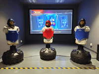 Load image into Gallery viewer, Interactive AR Boxing Simulator Punching Arcade Game Digital Sports Machine for FEC Shopping Mall Game Center
