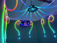 Load image into Gallery viewer, Digital Motion Equipment Reaction Arena Active Interactive Push Button Led Light Flash Current Activate Flash Games
