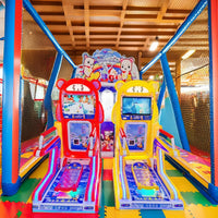 Load image into Gallery viewer, Coin Pusher Two Players Kids Skiing Simulator British Bear Video Sports Skateboard Game Machine
