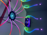Load image into Gallery viewer, Digital Motion Equipment Reaction Arena Active Interactive Push Button Led Light Flash Current Activate Flash Games
