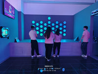 Load image into Gallery viewer, Indoor Fun Center Multiple People Led Light Strike Activate Games Throw Ball Interactive Wall Games Activate Game
