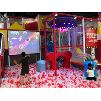 Load image into Gallery viewer, Indoor playground For Sale
