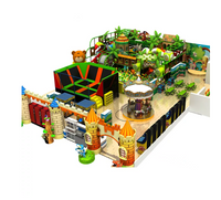 Load image into Gallery viewer, Indoor playground For Sale
