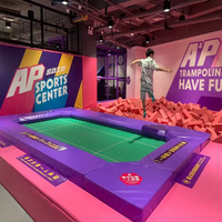 Load image into Gallery viewer, Professional Trampoline
