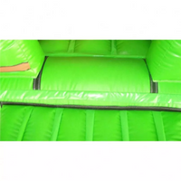 Load image into Gallery viewer, Outdoor Double Inflatable Slide

