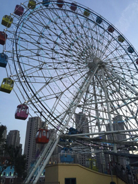 Load image into Gallery viewer, Ferris Wheel For Sale
