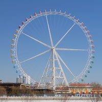 Load image into Gallery viewer, Customized Ferris Wheel

