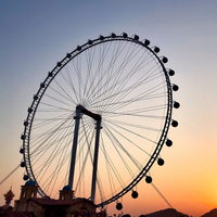 Load image into Gallery viewer, Factory Directly Wholesale Ferris Wheel
