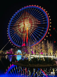 Load image into Gallery viewer, China Theme Park Ferris Wheel
