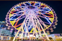 Load image into Gallery viewer, China Theme Park Ferris Wheel
