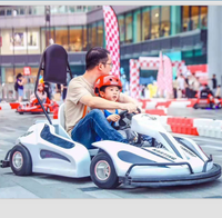 Load image into Gallery viewer, Parent-Child Go-Karts

