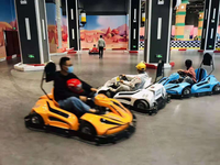 Load image into Gallery viewer, Parent-Child Go-Karts
