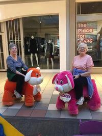 Load image into Gallery viewer, Child Car Animal Ride
