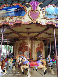 Load image into Gallery viewer, Carousel Horse Ride
