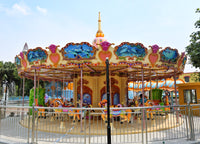 Load image into Gallery viewer, Carousel Horse Ride
