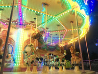 Load image into Gallery viewer, Carousel Horse Ride
