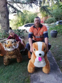 Load image into Gallery viewer, Amusement Park Animal Rides
