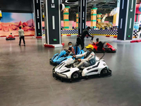 Load image into Gallery viewer, Parent-Child Go-Karts
