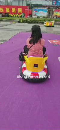 Load and play video in Gallery viewer, Bird Bumper Car
