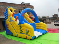 Load image into Gallery viewer, Slide Combo For Sale
