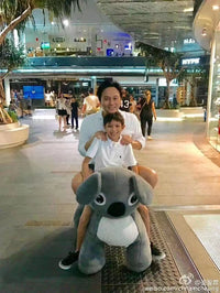 Load image into Gallery viewer, Animal Ride On Toy For Mall
