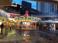 Load image into Gallery viewer, 24 Seats Large Carousel
