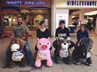 Load image into Gallery viewer, Remote Control Plush Animal Car
