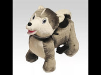 Load and play video in Gallery viewer, Indoor Playground Animal Riding
