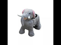 Load and play video in Gallery viewer, Mall Animal Ride
